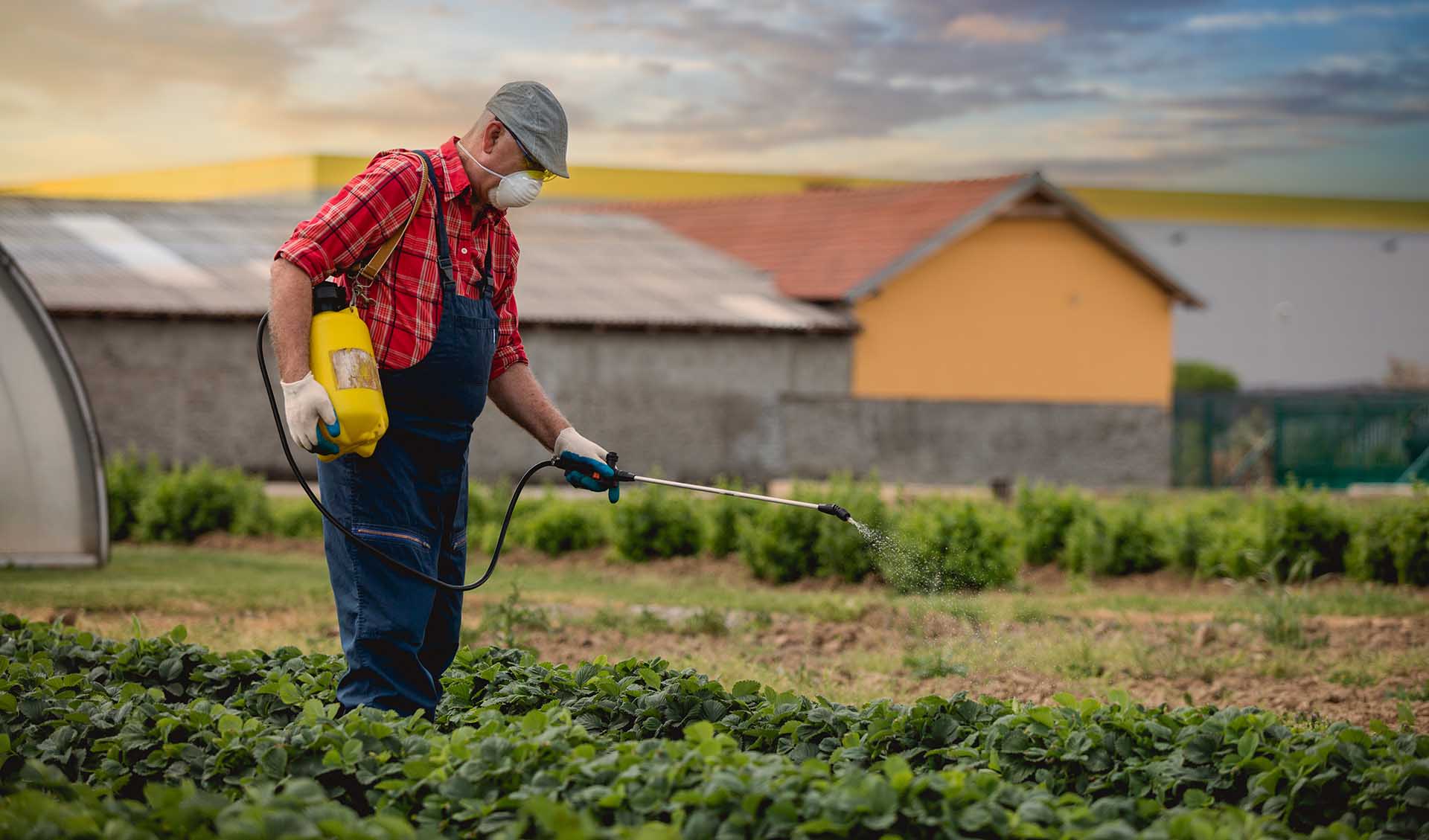 Farmer watering plants